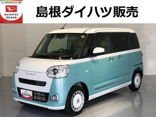 ムーヴキャンバス  ストライプス G