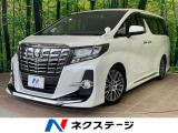 純正10インチナビ バックカメラ 両側電動スライドドア 100V電源
