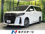 モデリスタフルエアロ 両側電動ドア 全周囲カメラ JBLサウンド ETC