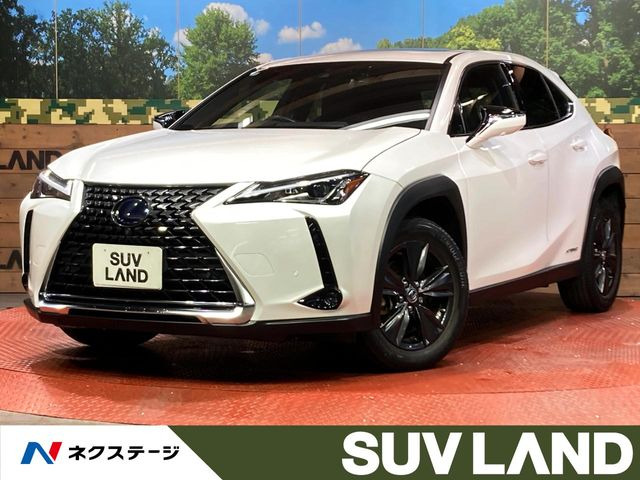 UX 250h ブラウン エディション