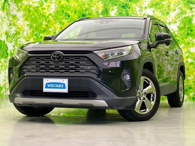 RAV4 2.0 G 4WD
