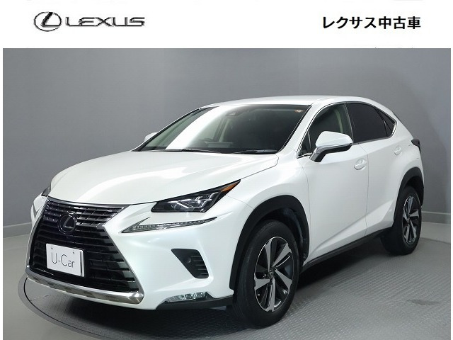 NX 300 Iパッケージ 4WD