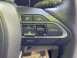 レーダークルーズコントロール(全車速追従機能付)付きです。車速に応じて追従支援してくれるので、ロングドライブも快適です。詳細は販売店スタッフまでおたずねください。