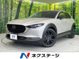純正10型ディスプレイ 衝突被害軽減システム レーダークルーズ 禁煙車