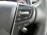 ステアリングスイッチで車両情報を切り替えて必要な必要な情報を確認したりできます。