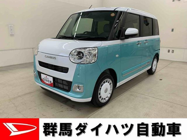 ムーヴキャンバス  ストライプス G