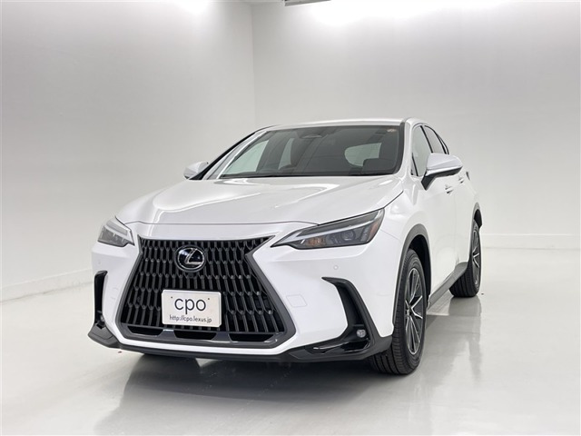 NX  
