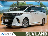 モデリスタ ガラスルーフ 後席モニター 14型ナビ 全周囲カメラ ヘッド