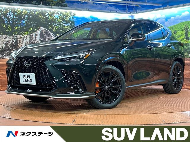 NX 350h Fスポーツ 