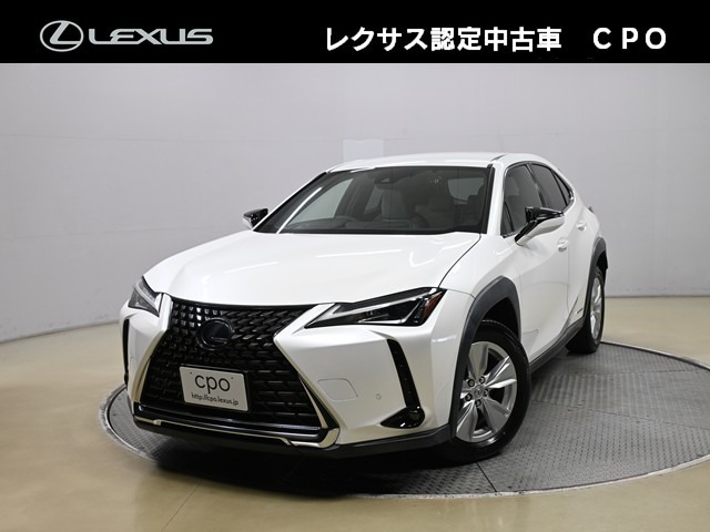 UX 250h バージョンC 