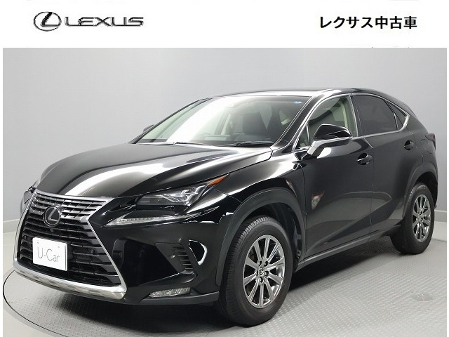 NX 300 Iパッケージ