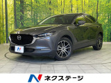 純正ナビ 全周囲カメラ スマートブレーキシステム レーダークルーズ