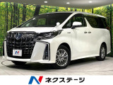 サンルーフ BIGX11インチナビ 両側電動ドア 後席モニター