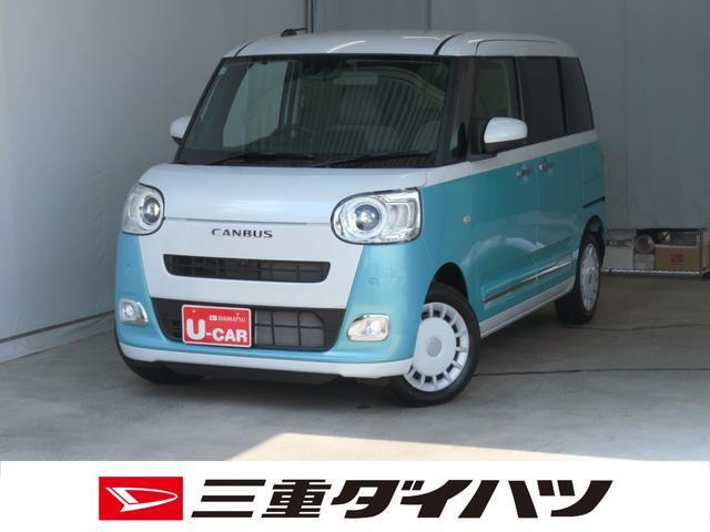 ムーヴキャンバス  ストライプス G