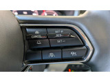 レーダークルーズコントロールを装備。アクセルやブレーキを操作しなくても、自動で先行車との車間距離を保ち追従走行できます。長距離や高速道路を運転する際に、ドライバーへの負担を軽減します。