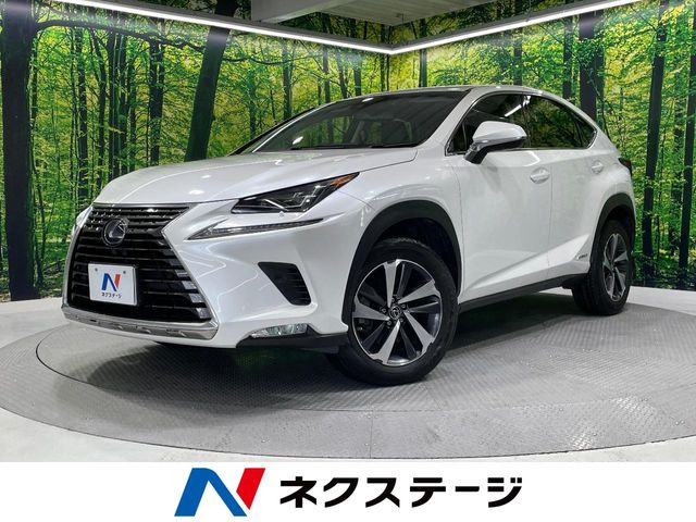 NX 300h Iパッケージ