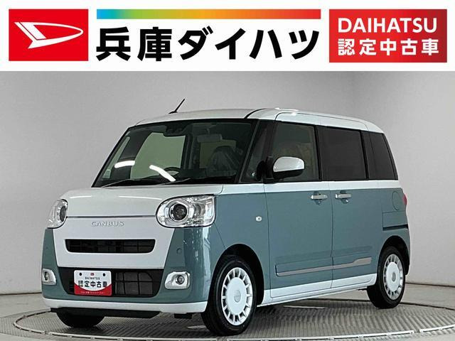 ムーヴキャンバス  ストライプス G