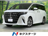 14型メーカーナビ 全周囲カメラ 両側電動スライドドア 電動リアゲート