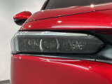 LEDヘッドライトは、点灯の瞬間から最大光量を発揮し、突然暗くなるトンネルなどでの安定感を高めます。