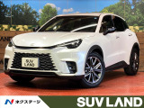 レーダークルーズ 電動リアゲート レザーシート コーナーセンサー ETC