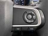 全車速追従機能付ACC(アダプティブクルーズコントロール)付