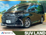 モデリスタエアロ ガラスルーフ 後席モニター 14型ナビ 全周囲カメラ