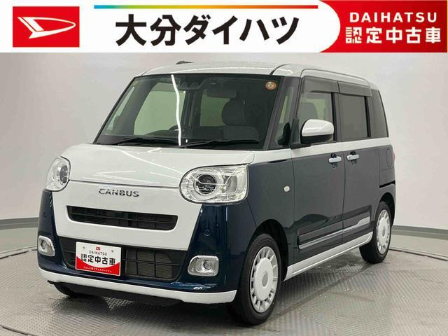 ムーヴキャンバス  ストライプス G