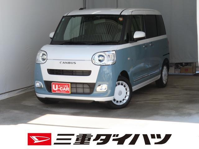 ムーヴキャンバス  ストライプス G