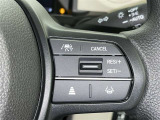 クルーズコントロール機能が付いています。 速度を設定するとアクセルを踏まなくても一定の速度で走ることができます。  高速道路ではとても便利な装置なんです。