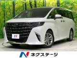ユニバーサルステップ 純正14型ナビ 全周囲カメラ 両側電動スライド