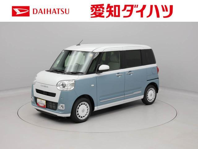 ムーヴキャンバス  ストライプス G