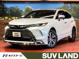 レーダークルーズ 禁煙車 電動リアゲート ハーフレザーシート パワーシー