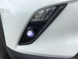 フォグランプもLED