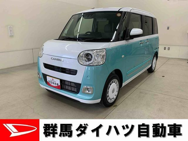ムーヴキャンバス  ストライプス G