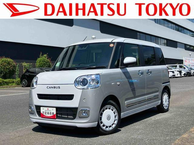 ムーヴキャンバス  ストライプス G