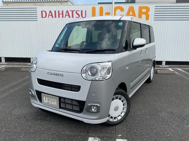 ムーヴキャンバス  ストライプス G