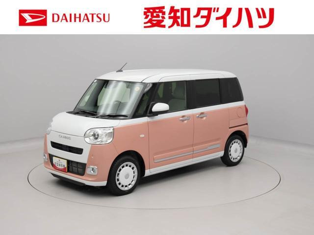 ムーヴキャンバス  ストライプス G