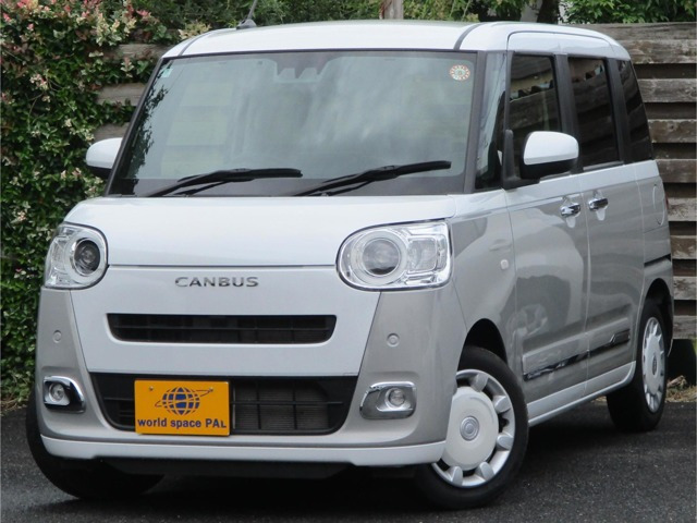 ムーヴキャンバス  ストライプス G