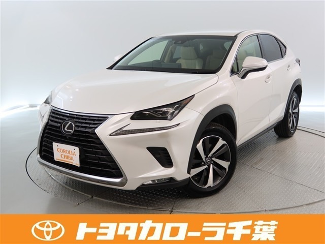 NX 300 Iパッケージ 4WD 