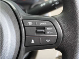 ◆アダプティブクルーズコントロール◆予め設定した車速内でクルマが自動的に加減速。前走車との適切な車間距離を維持しながら追従走行します。【LKAS】車線維持支援システムでステアリング操作を支援。