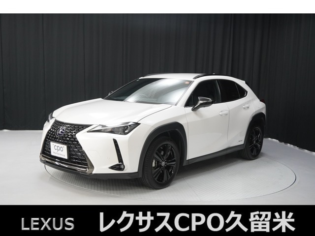 UX 250h