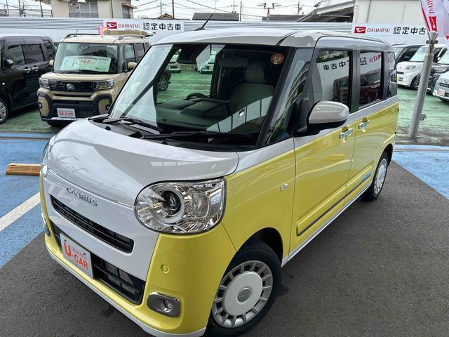 ムーヴキャンバス  ストライプス G