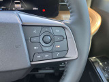 右側にオーデイオやナビのコントロールができるスイッチ、運転中は手を放さず手元で操作可能なんです!
