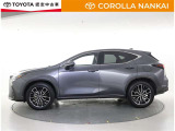 NX  