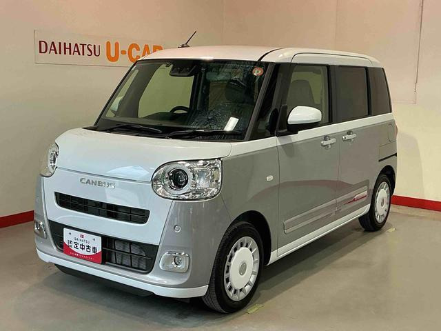ムーヴキャンバス  ストライプス G