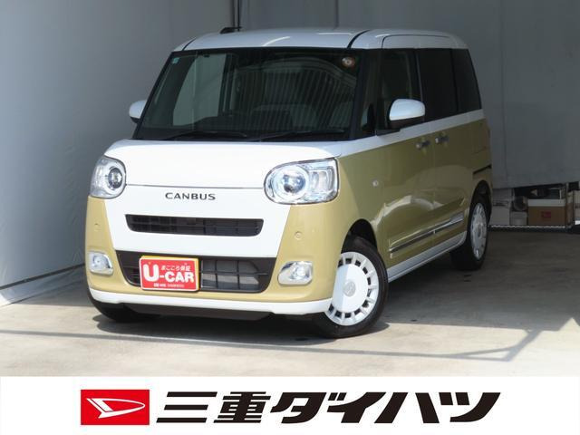 ムーヴキャンバス  ストライプス G