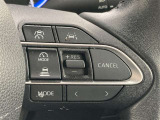 前方の車との車間を設定し、スピードを上げたり緩めたりを自動で行ってくれる追尾式の「レーダークルーズ」。上級装備の一つです!高級車にしかつかない嬉しい機能です。