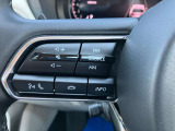 オーディオの音量などはハンドルのスイッチでわき見することなく安全に操作することができます。