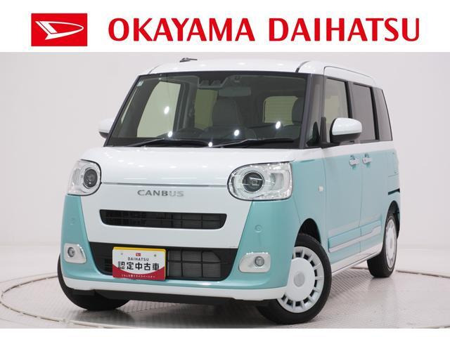 ムーヴキャンバス  ストライプス G