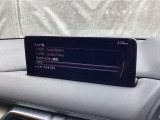 メーカーオプションTVチューナー付!